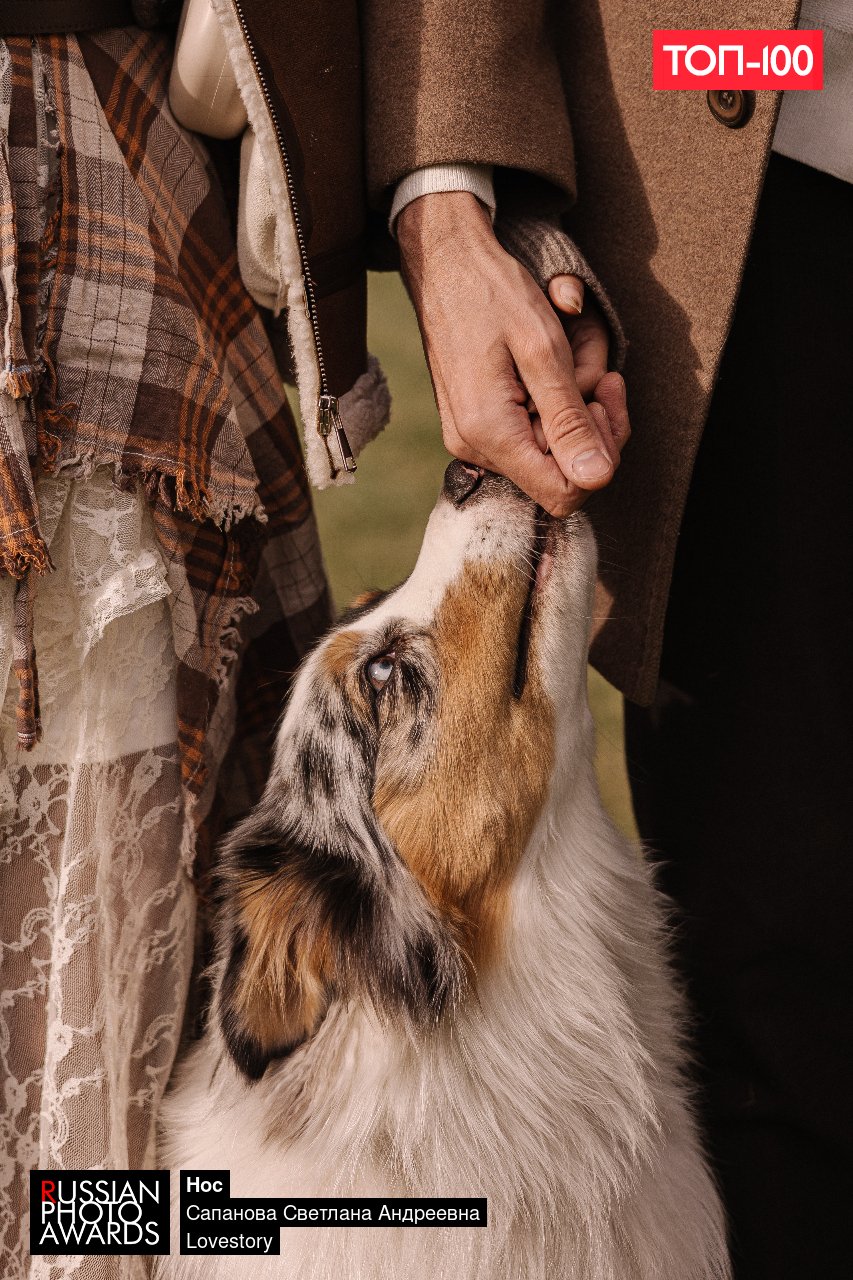 Портрет с питомцем