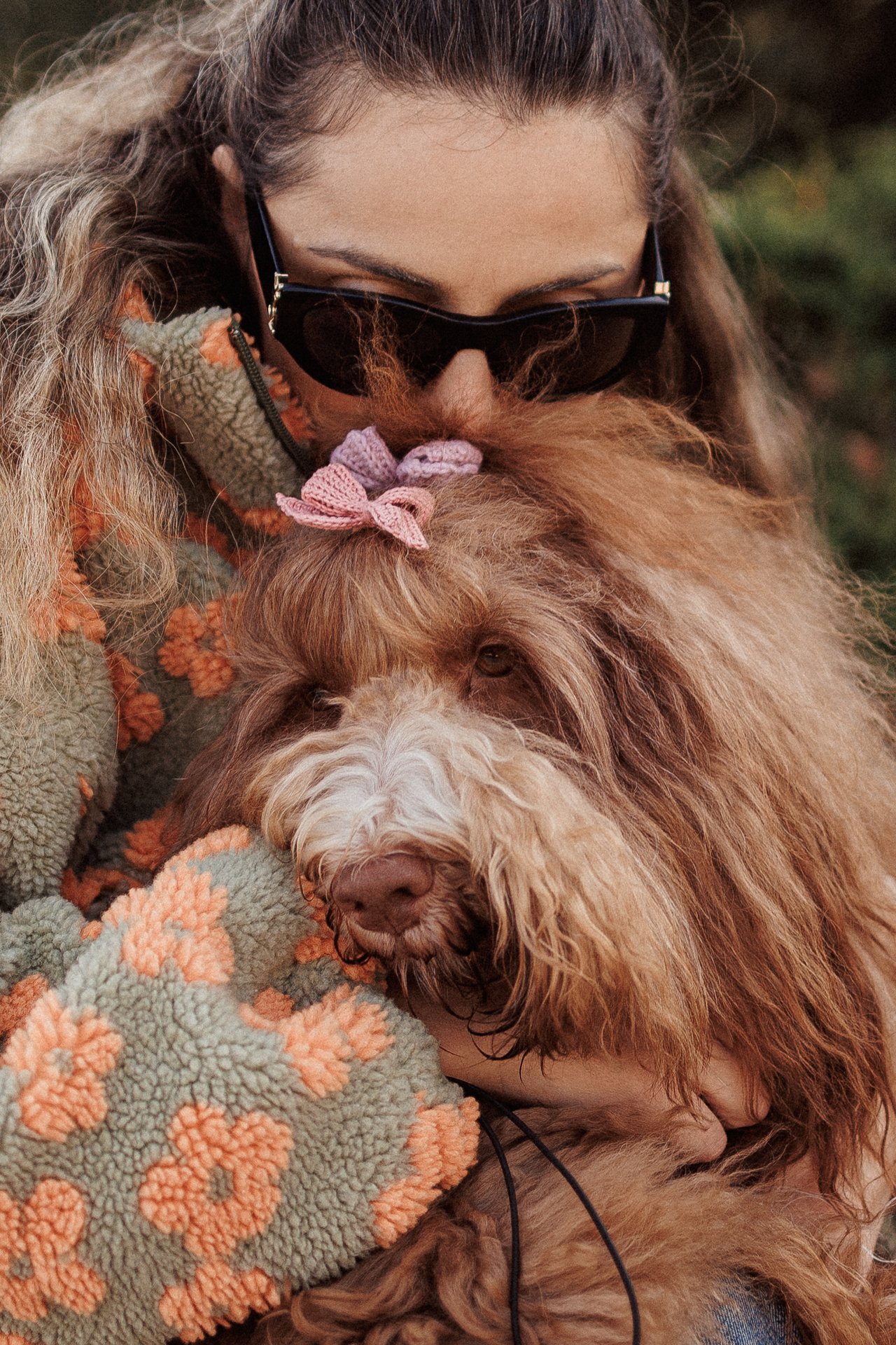 Домашние животные фото